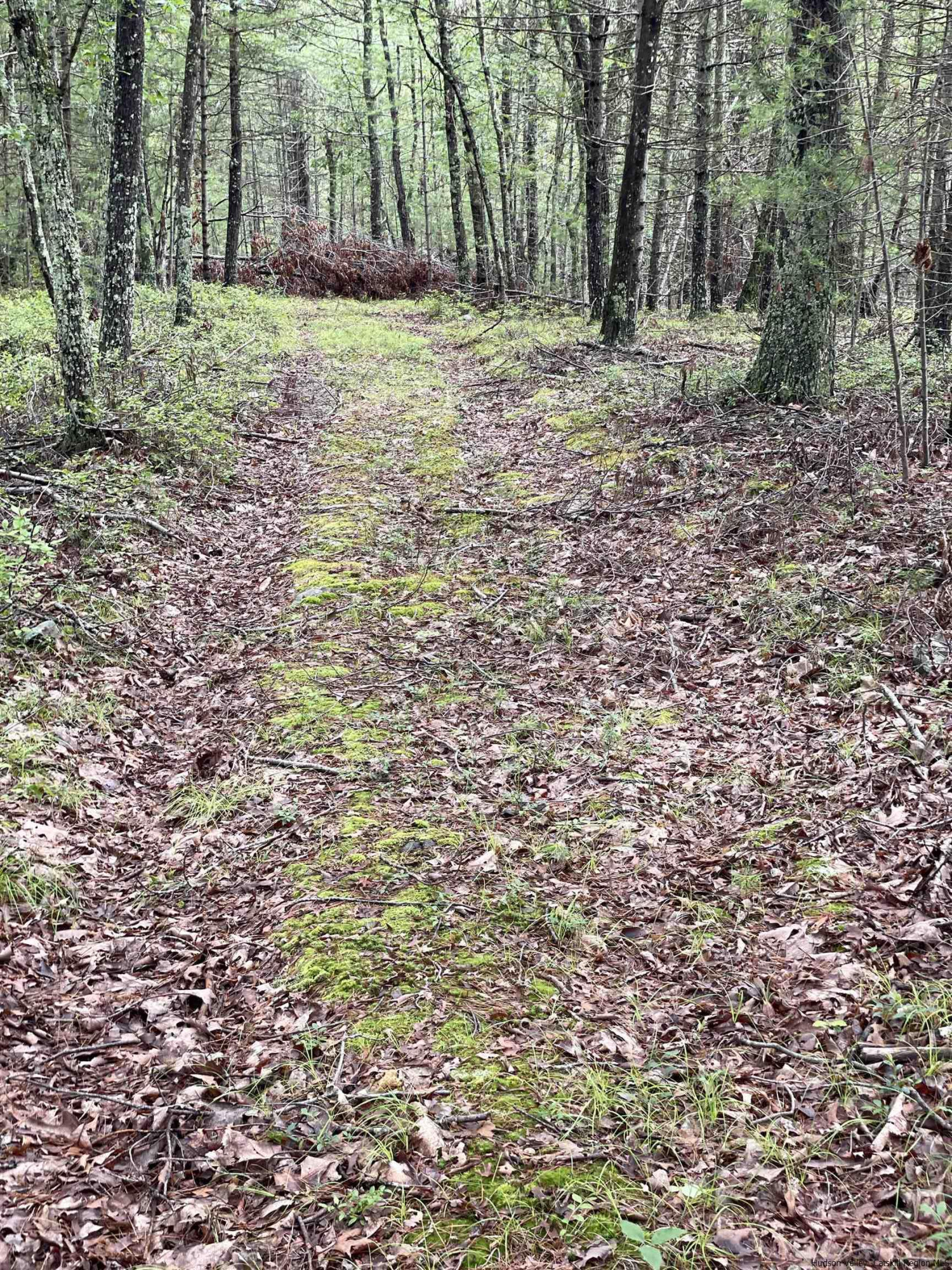 856 Ashokan Road Kingston, NY 12401 - Photo 7 of 22 a fire hydrant in the middle of a field