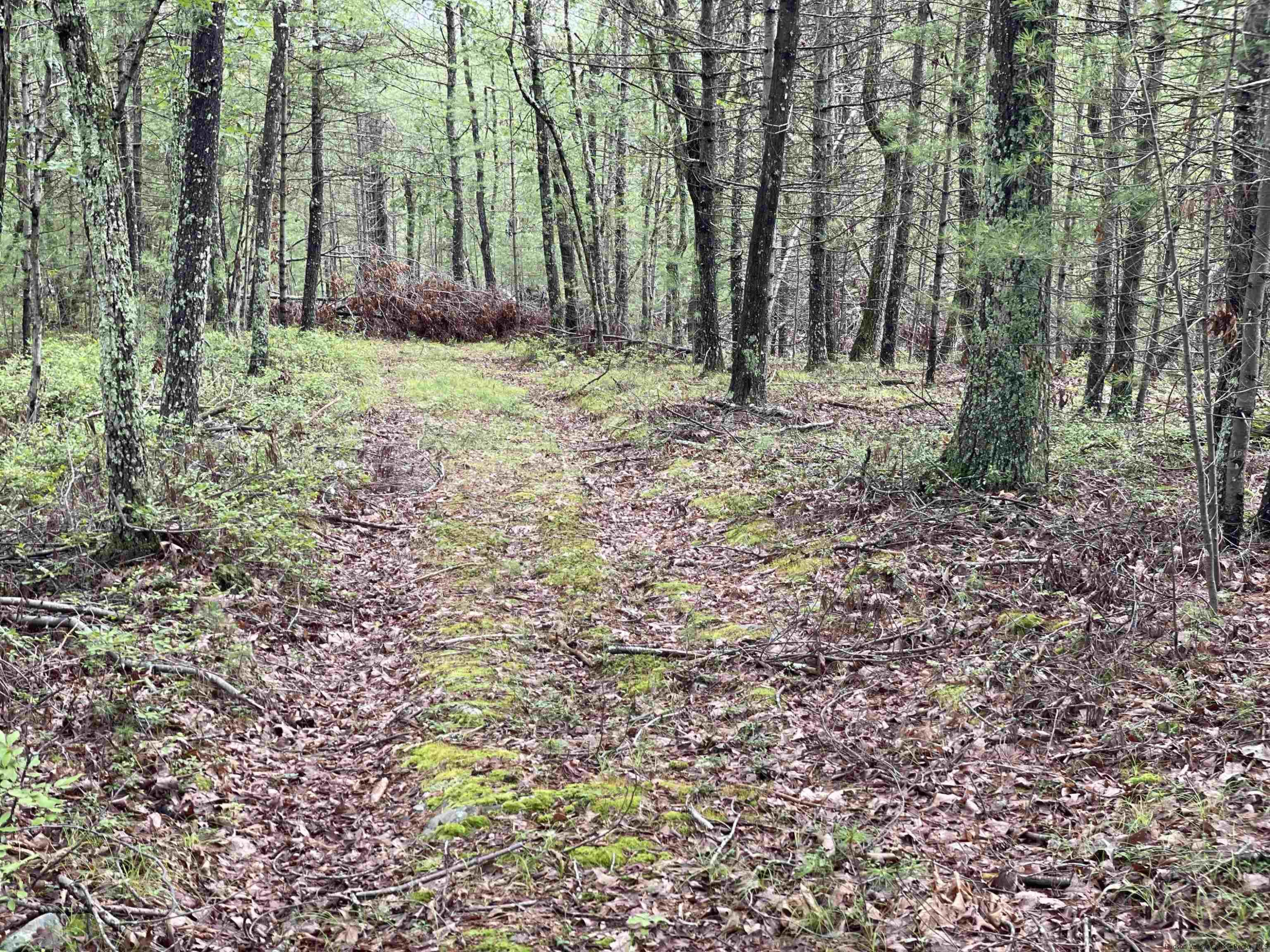 856 Ashokan Road Kingston, NY 12401 - Photo 8 of 22 a view of outdoor space with trees