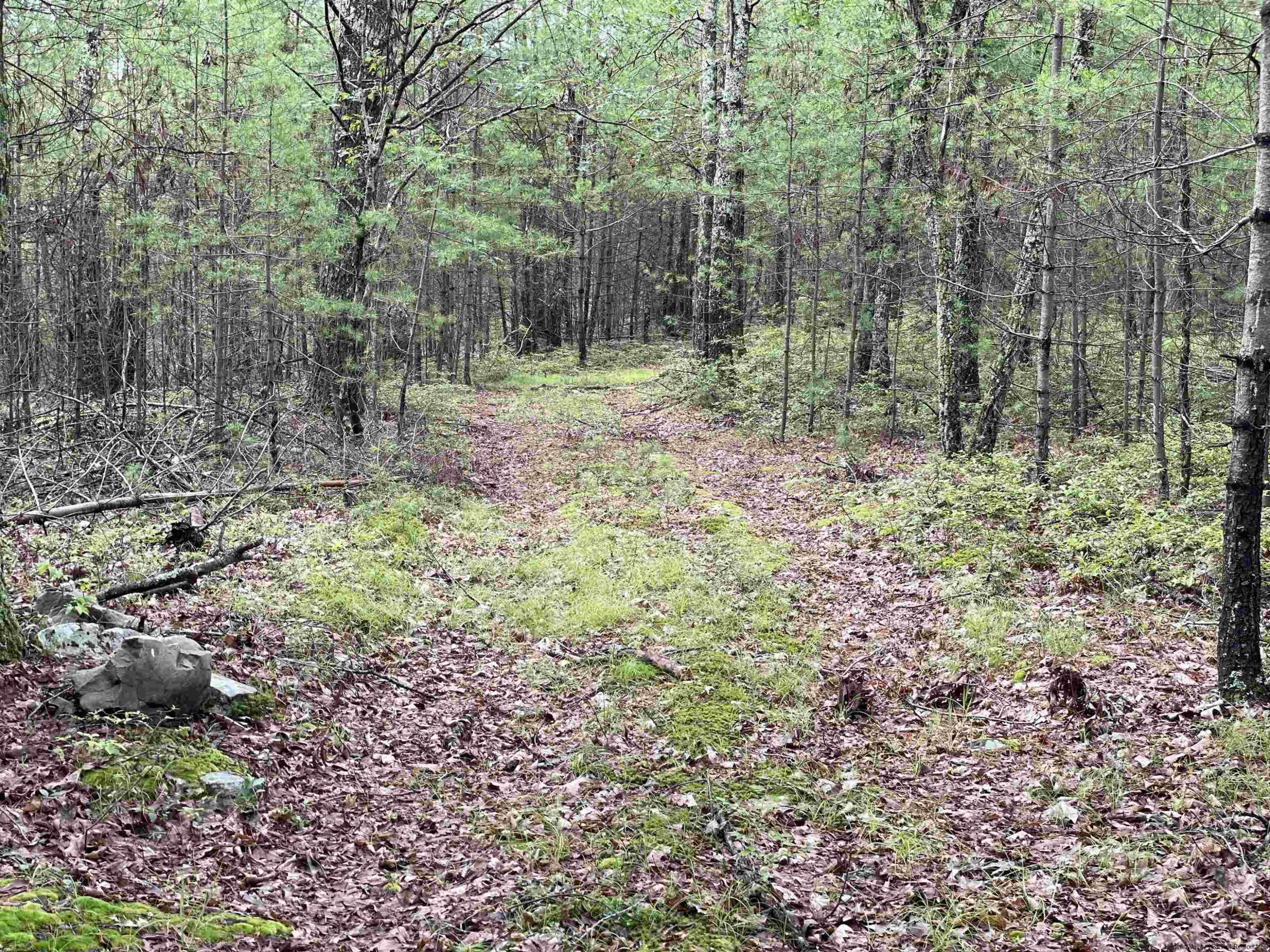 856 Ashokan Road Kingston, NY 12401 - Photo 9 of 22 a view of outdoor space with trees all around