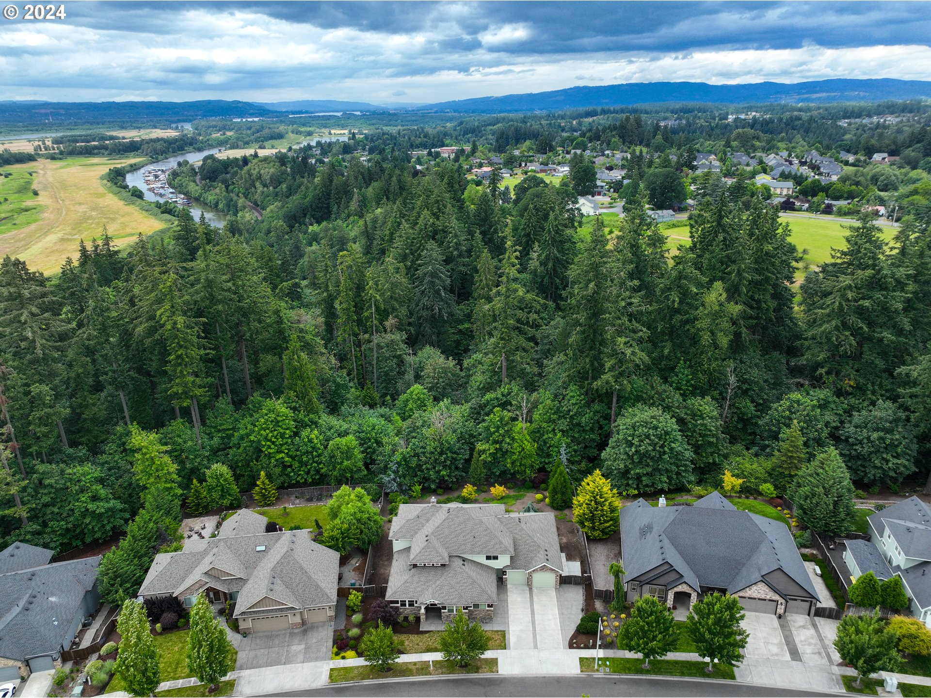 1208 South Great Blue Road Ridgefield, WA 98642 - Photo 3 of 48