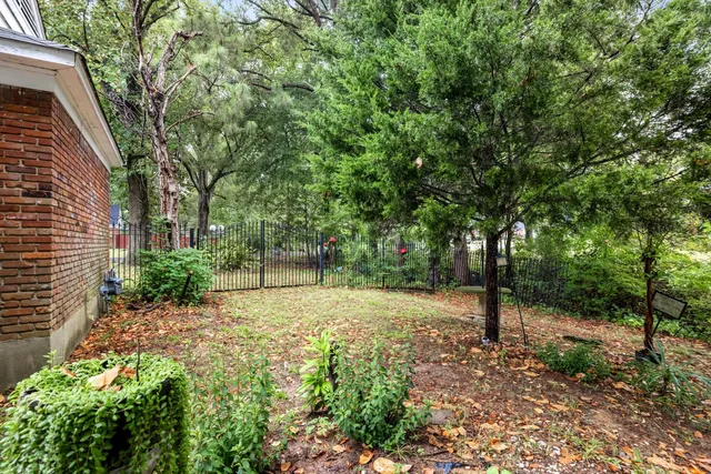a view of backyard with tree
