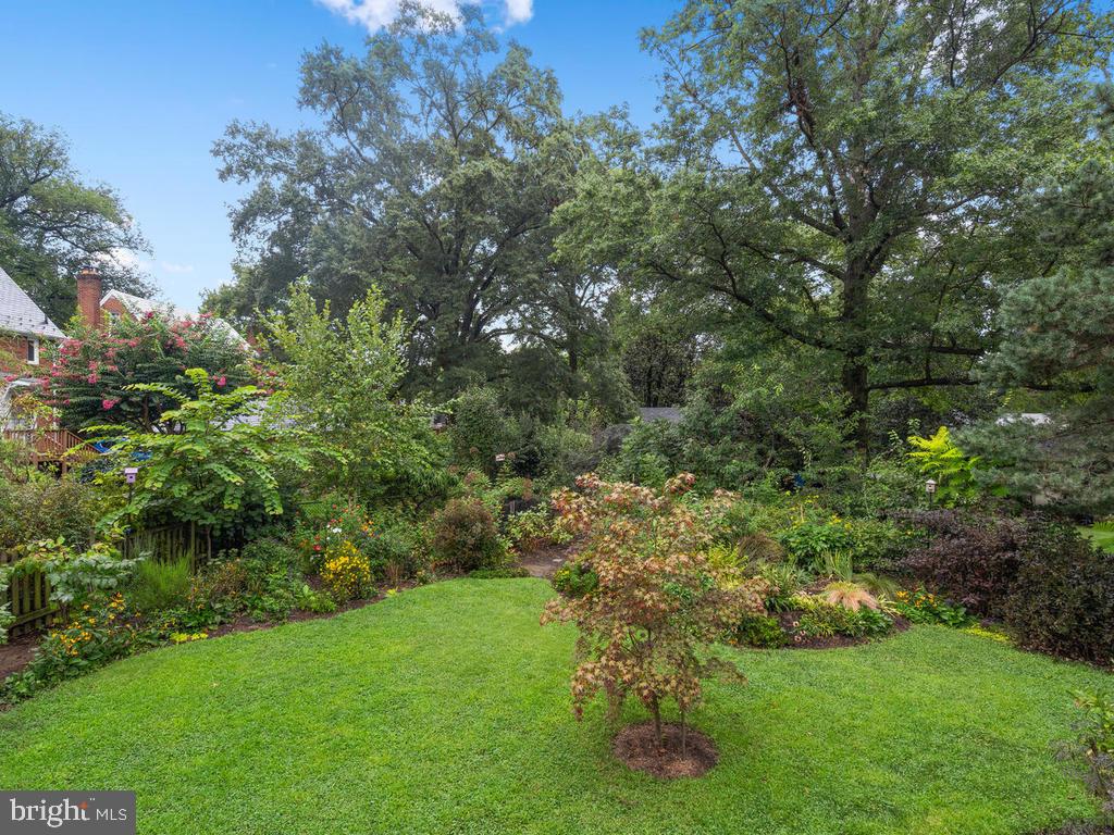 4008 Tennyson Road University Park, MD 20782 - Photo 34 of 38 Lush Rear Yard & Rain Garden