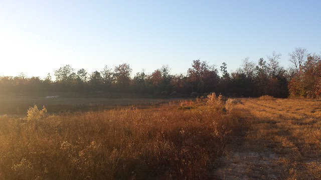 3 Wire Road Aiken, SC 29805 - Photo 1 of 1 Main View