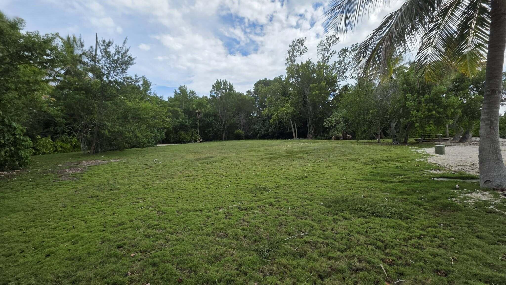 54 Sunset Road Key Largo, FL 33037 - Photo 9 of 26 54 Cleared lot
