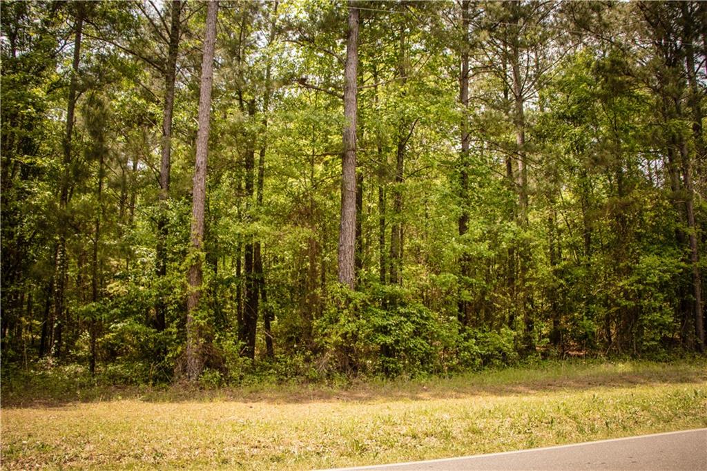 0 Rocky Bottom Road Thomaston, GA 30286 - Photo 1 of 1 Gallery Image 1