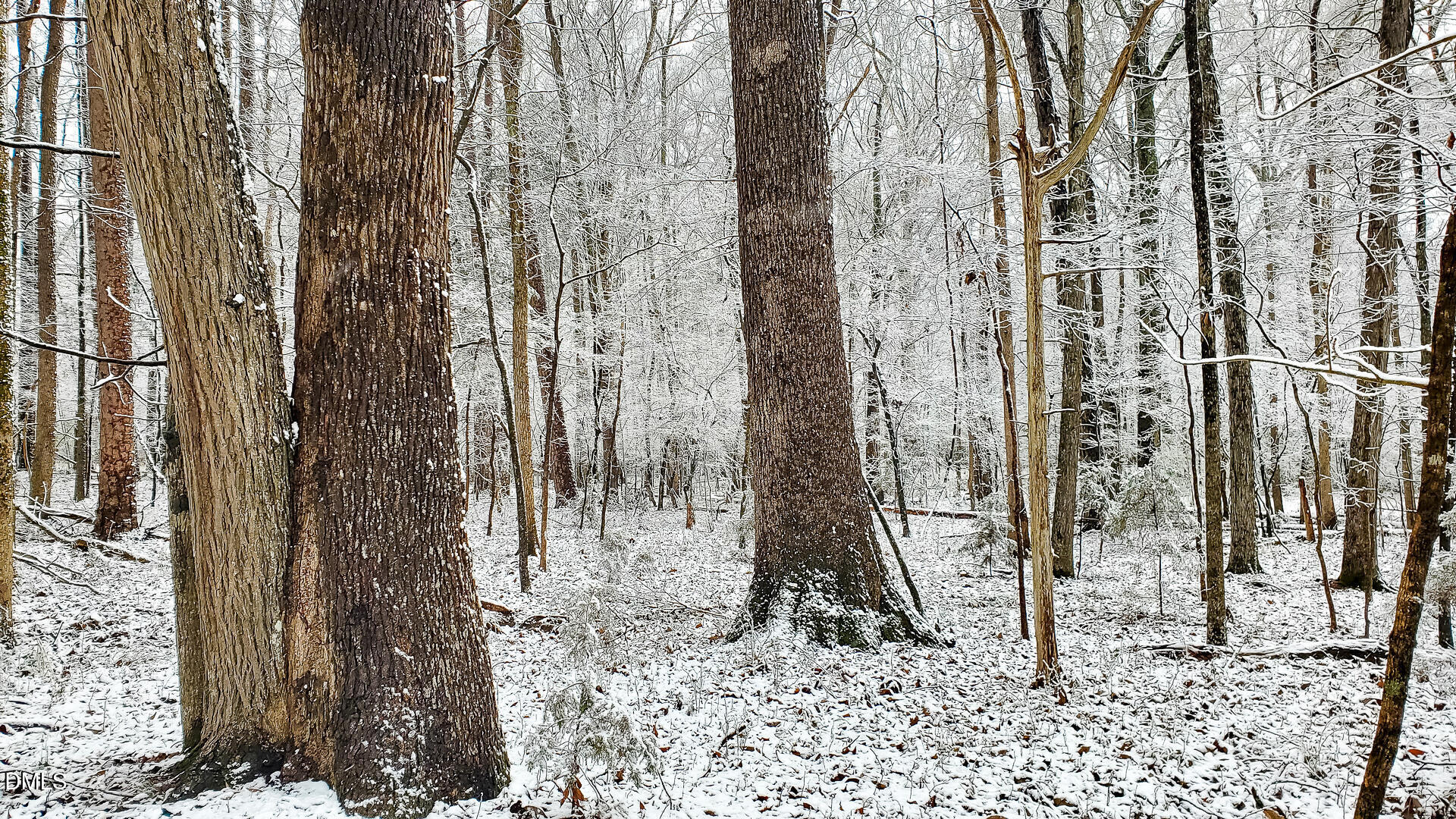 201 Briggs Road Hurdle Mills, NC 27541 - Photo 29 of 43