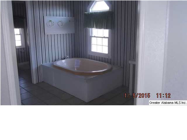 3214 Old Sulphur Springs Road Wellington, AL 36279 - Photo 10 of 14