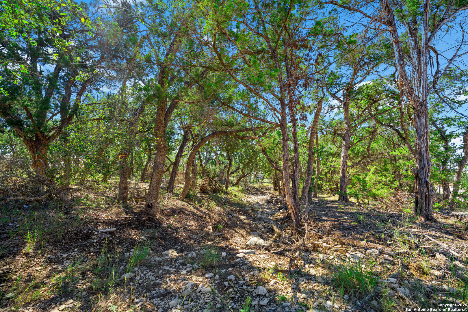34720 Ansley Rdg Trail Bulverde, TX 78163 - Photo 11 of 24 a view of outdoor space and trees