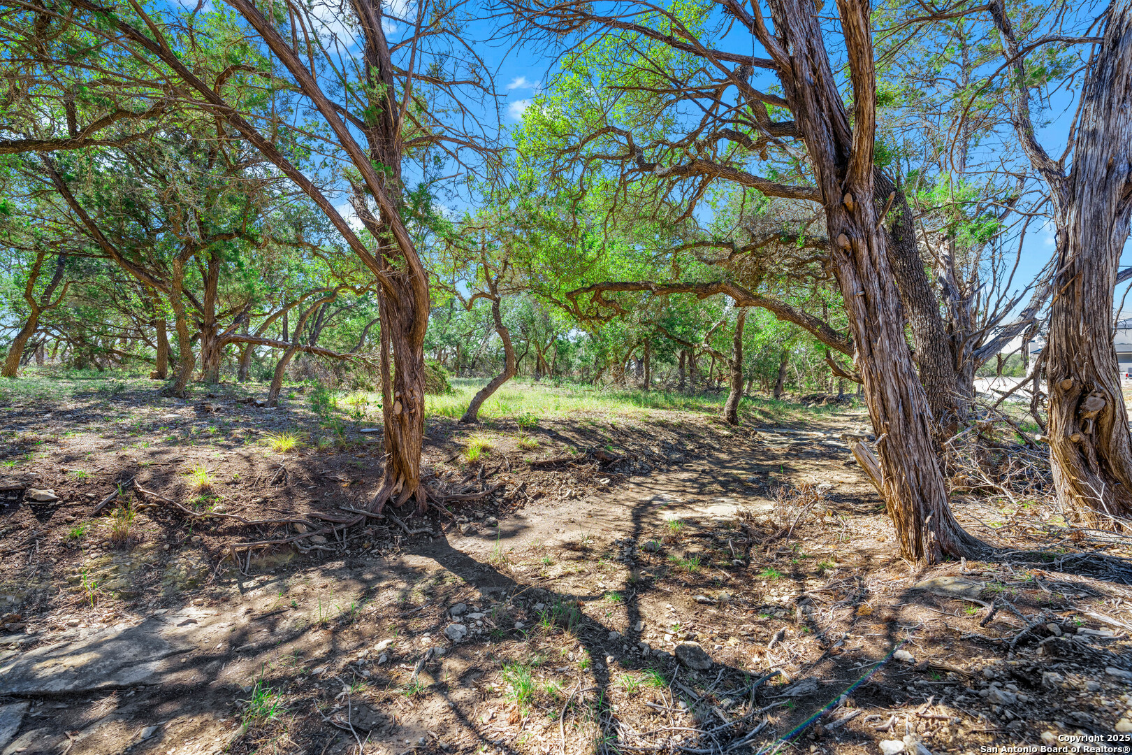 34720 Ansley Rdg Trail Bulverde, TX 78163 - Photo 12 of 24 a view of outdoor space and trees