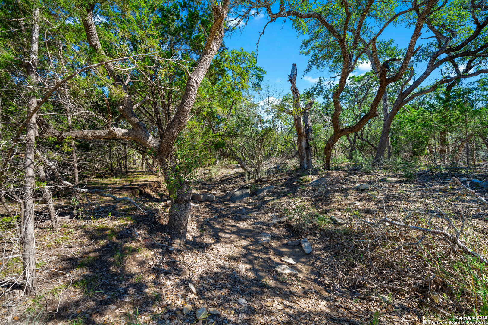 34720 Ansley Rdg Trail Bulverde, TX 78163 - Photo 15 of 24 a view of a forest