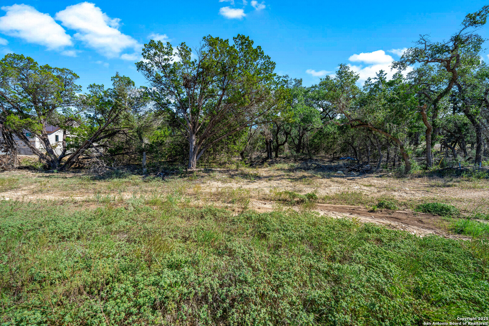 34720 Ansley Rdg Trail Bulverde, TX 78163 - Photo 16 of 24 a view of swimming pool with a yard