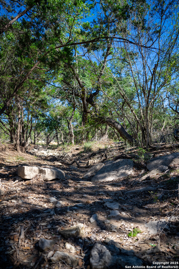 34720 Ansley Rdg Trail Bulverde, TX 78163 - Photo 9 of 24 a backyard of a house with lots of green space