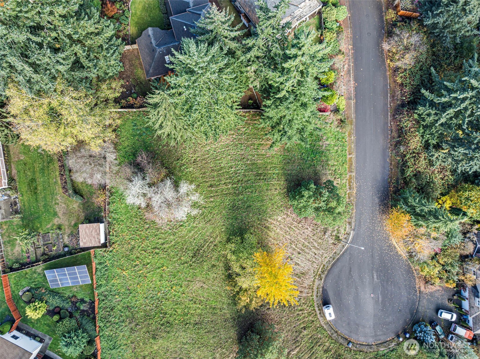 -xxx 2nd Avenue Southwest Federal Way, WA 98023 - Photo 13 of 25 a view of a garden with plants and large trees