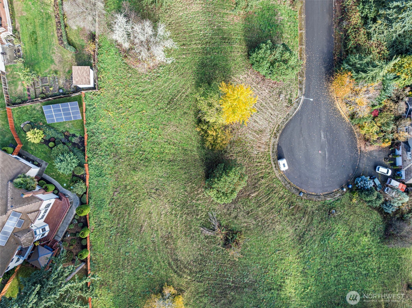 -xxx 2nd Avenue Southwest Federal Way, WA 98023 - Photo 14 of 25 a view of a garden