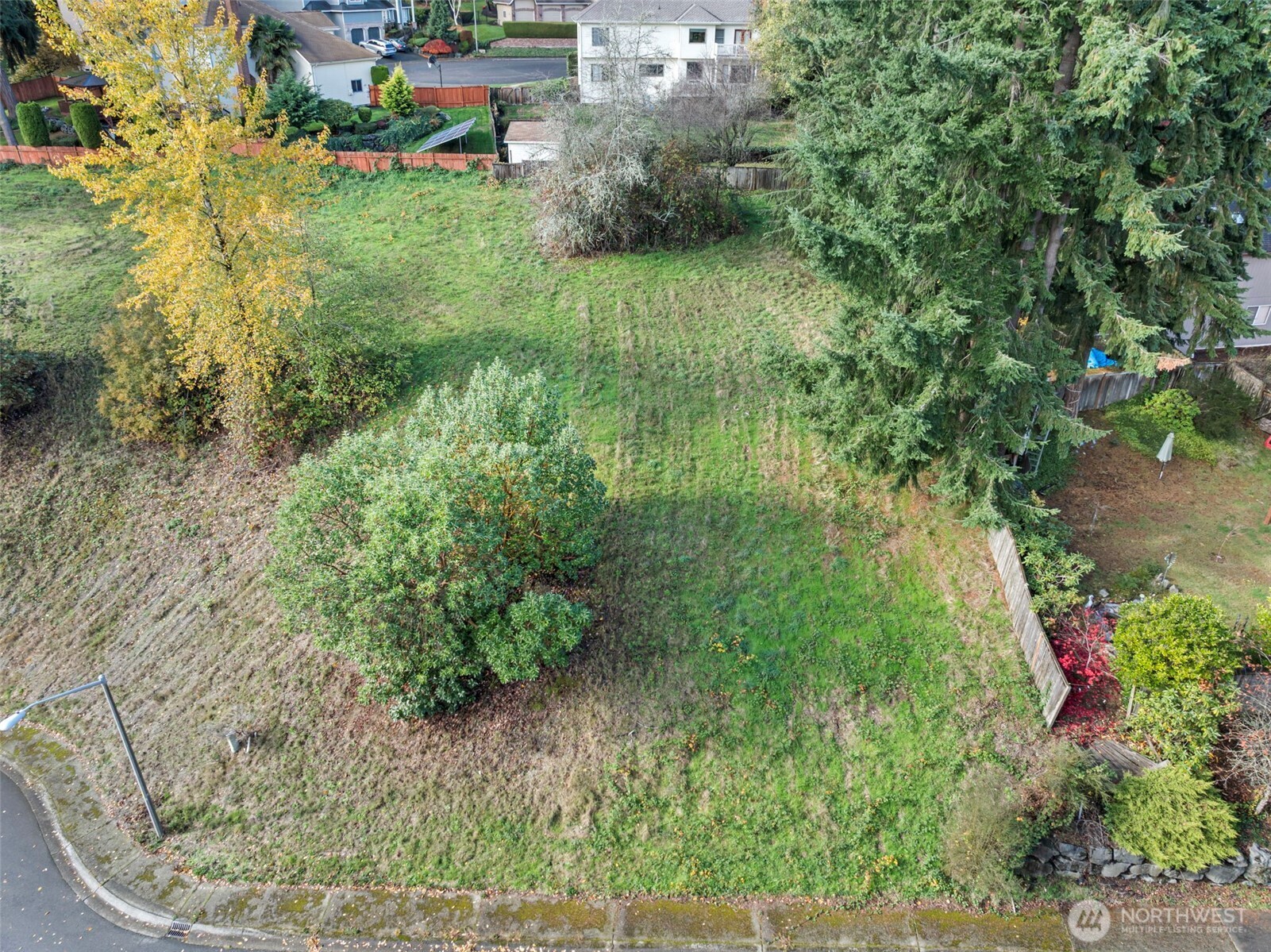 -xxx 2nd Avenue Southwest Federal Way, WA 98023 - Photo 22 of 25 a view of a garden