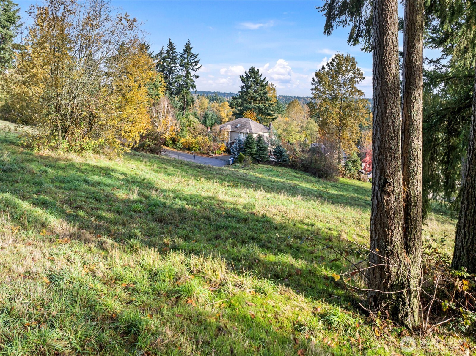 -xxx 2nd Avenue Southwest Federal Way, WA 98023 - Photo 23 of 25 a view of outdoor space and yard