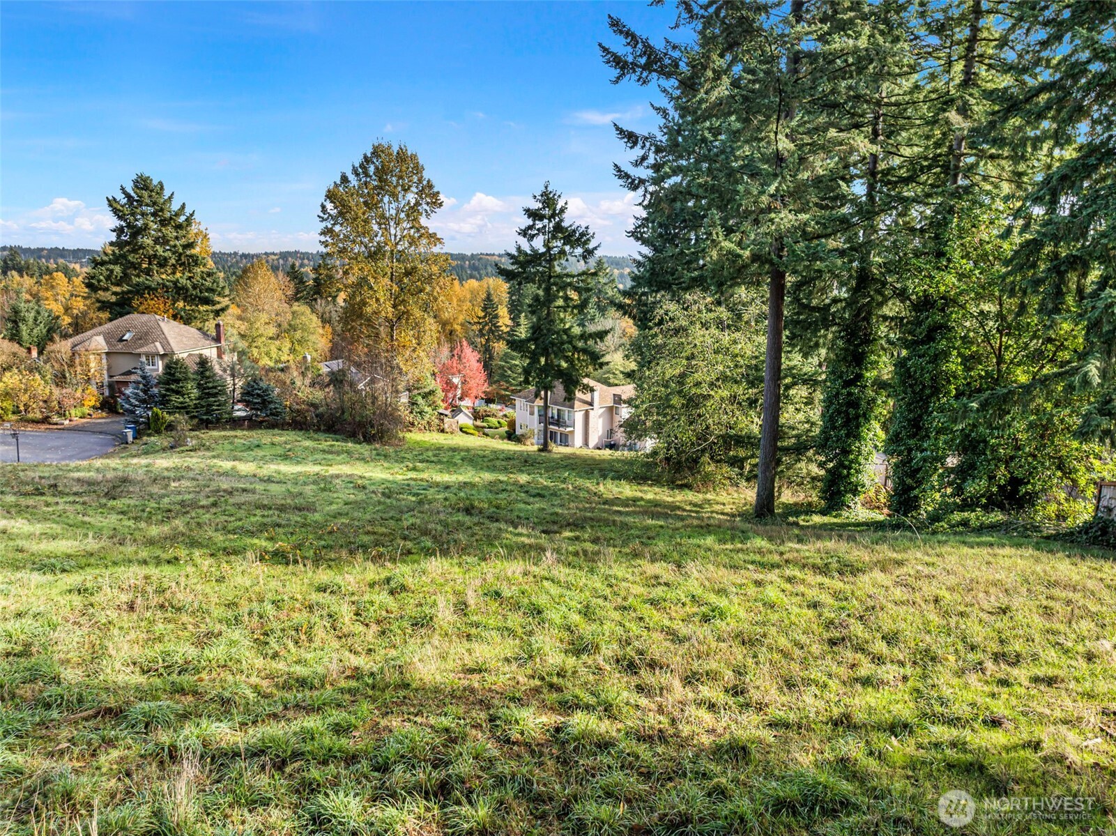 -xxx 2nd Avenue Southwest Federal Way, WA 98023 - Photo 24 of 25 a view of a trees with a yard
