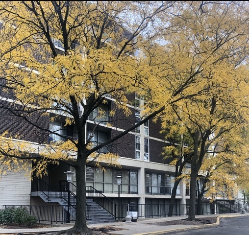 a front view of a building