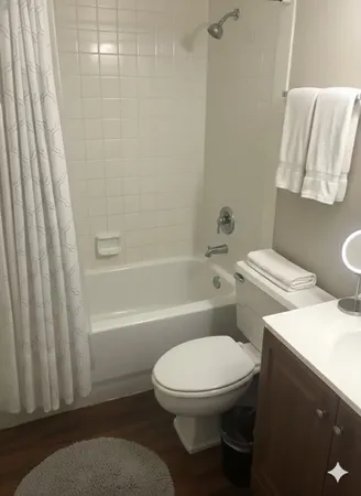 a white toilet sitting next to a bath tub