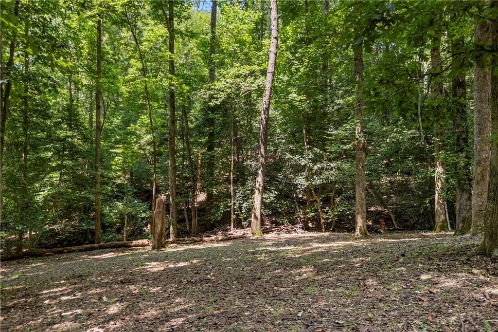 439 Nighthawk View Demorest, GA 30535 - Photo 28 of 37 Gallery Image 28