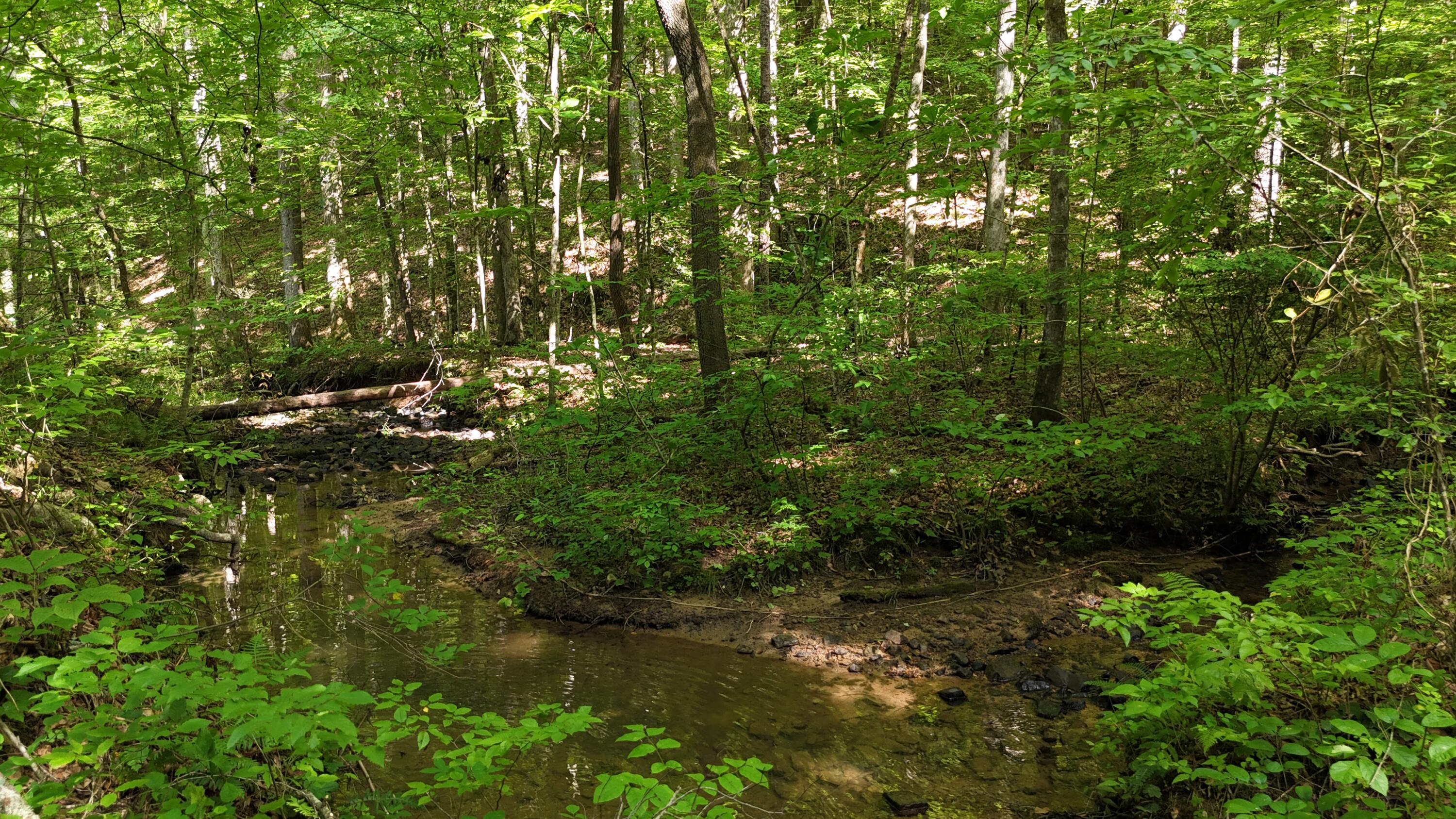 Lot 13-14 Clifton Cemetery Road Spring City, TN 37381 - Photo 12 of 20 dji_fly_20250702_171352_0669_17515461484