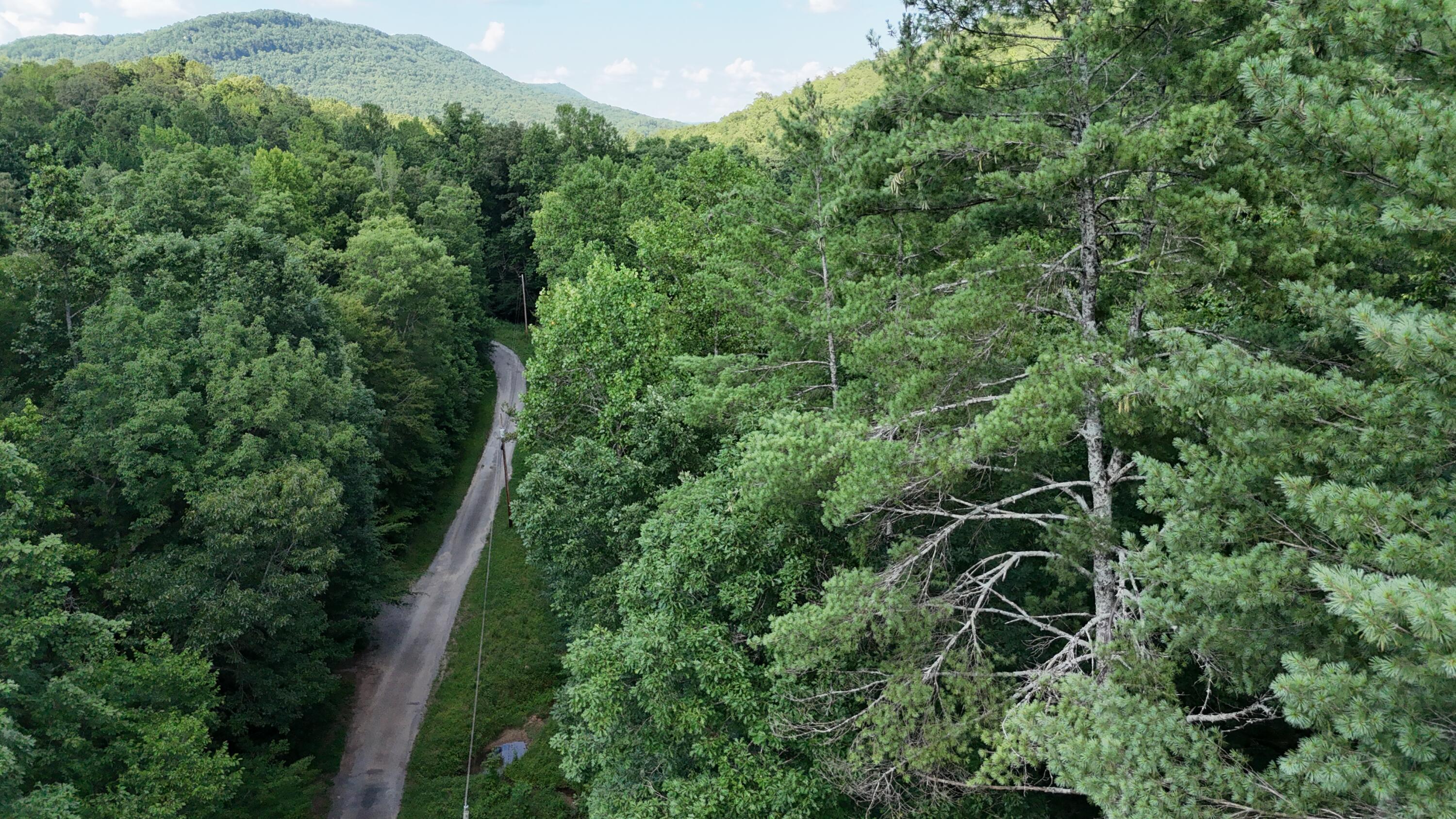 Lot 13-14 Clifton Cemetery Road Spring City, TN 37381 - Photo 13 of 20 dji_fly_20250702_171634_0670_17515461466