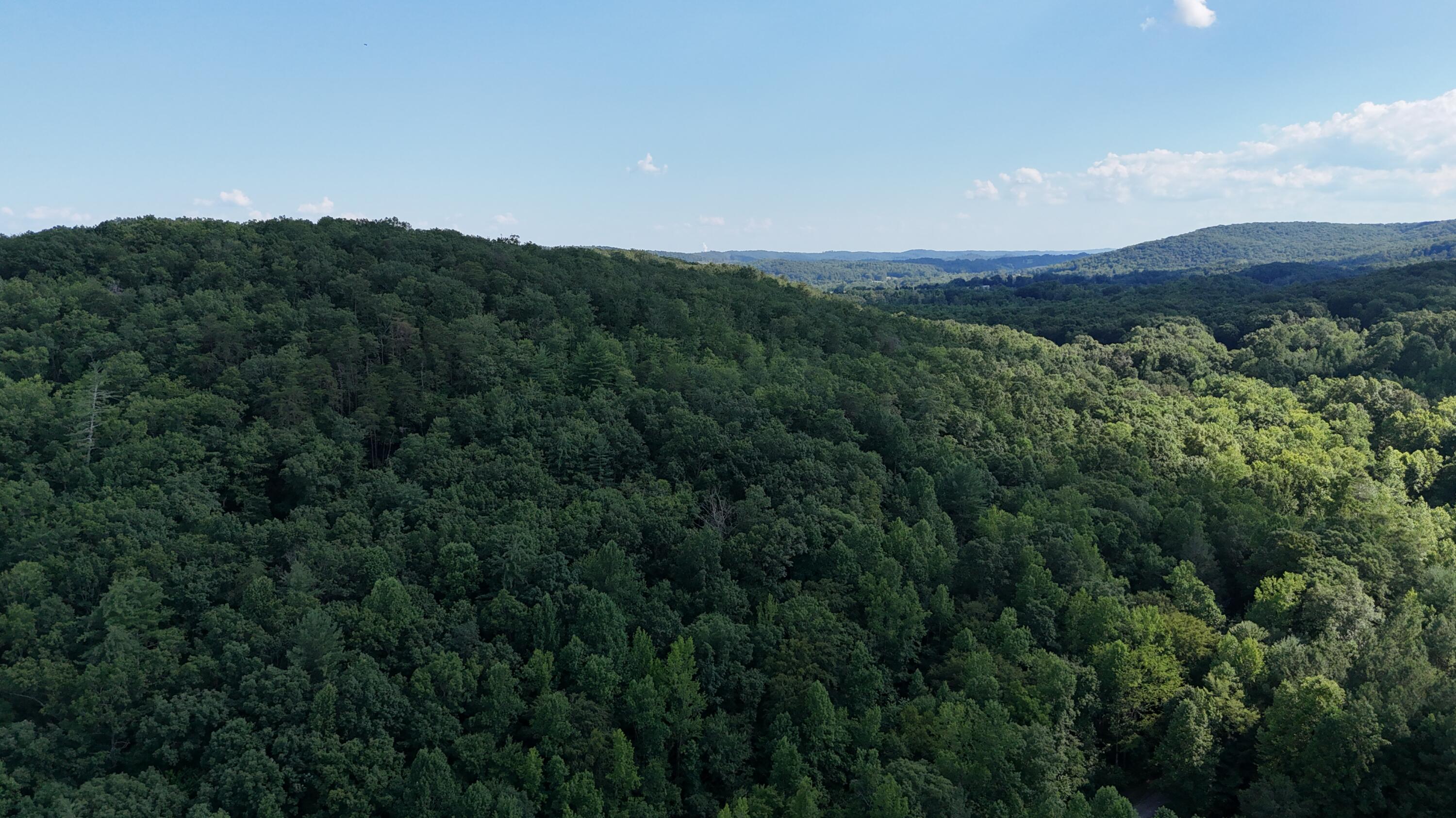 Lot 13-14 Clifton Cemetery Road Spring City, TN 37381 - Photo 16 of 20 dji_fly_20250702_171906_0673_17515461430
