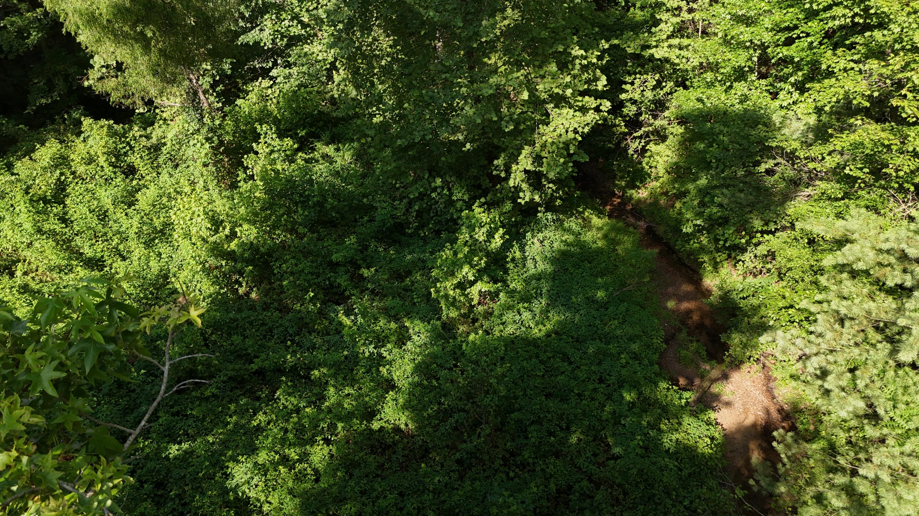 Lot 13-14 Clifton Cemetery Road Spring City, TN 37381 - Photo 18 of 20 dji_fly_20250702_172008_0675_17515461404
