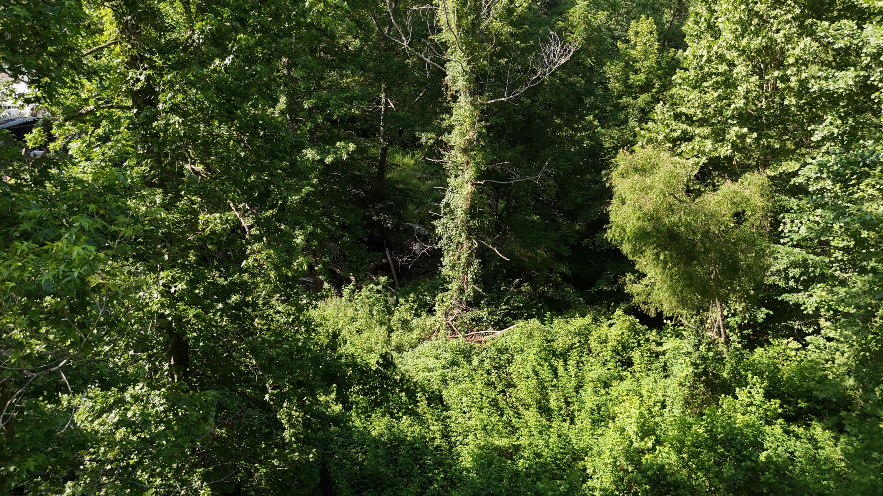 Lot 13-14 Clifton Cemetery Road Spring City, TN 37381 - Photo 19 of 20 dji_fly_20250702_172016_0676_17515461379