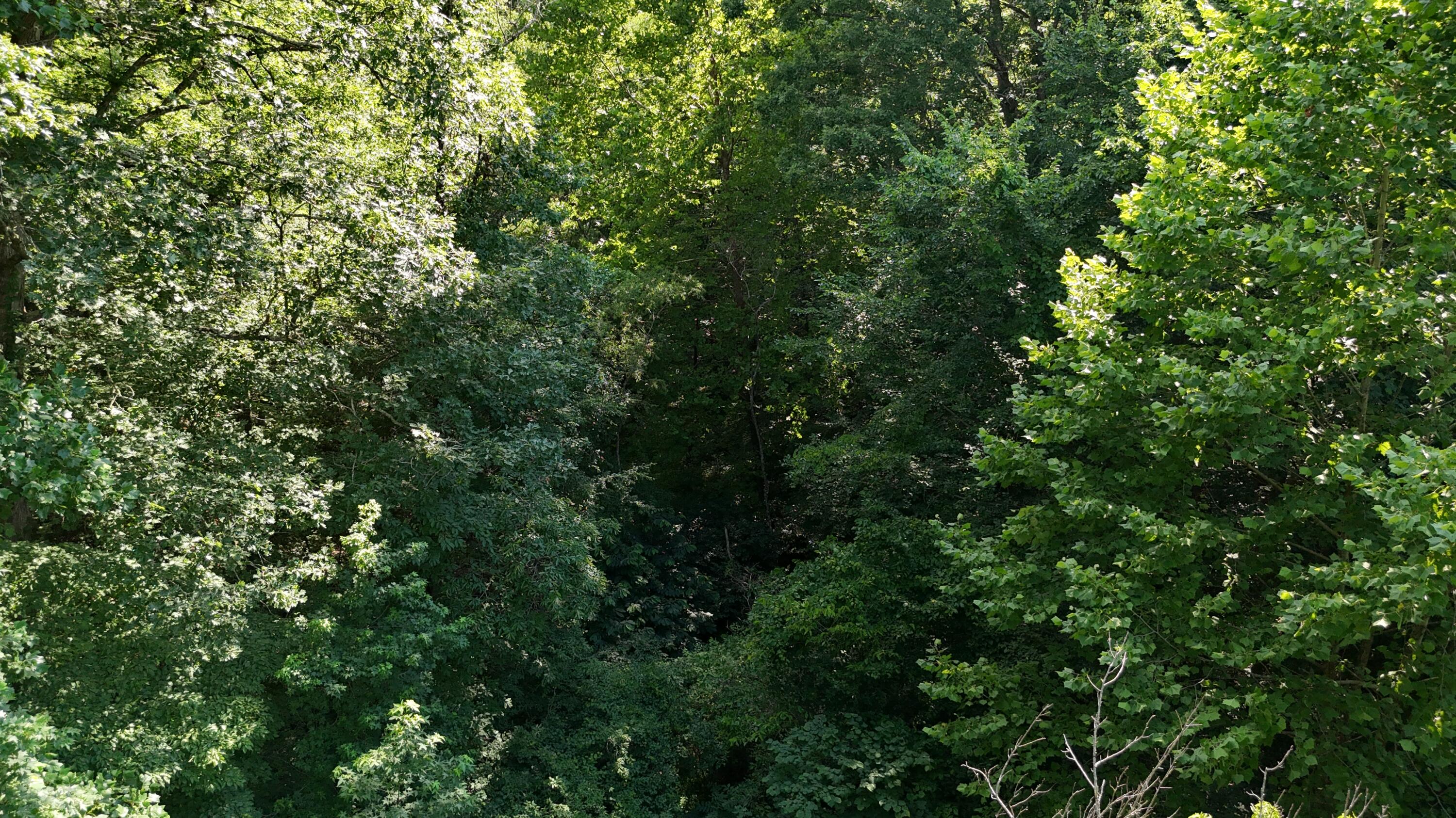 Lot 13-14 Clifton Cemetery Road Spring City, TN 37381 - Photo 20 of 20 dji_fly_20250702_172024_0677_17515461371