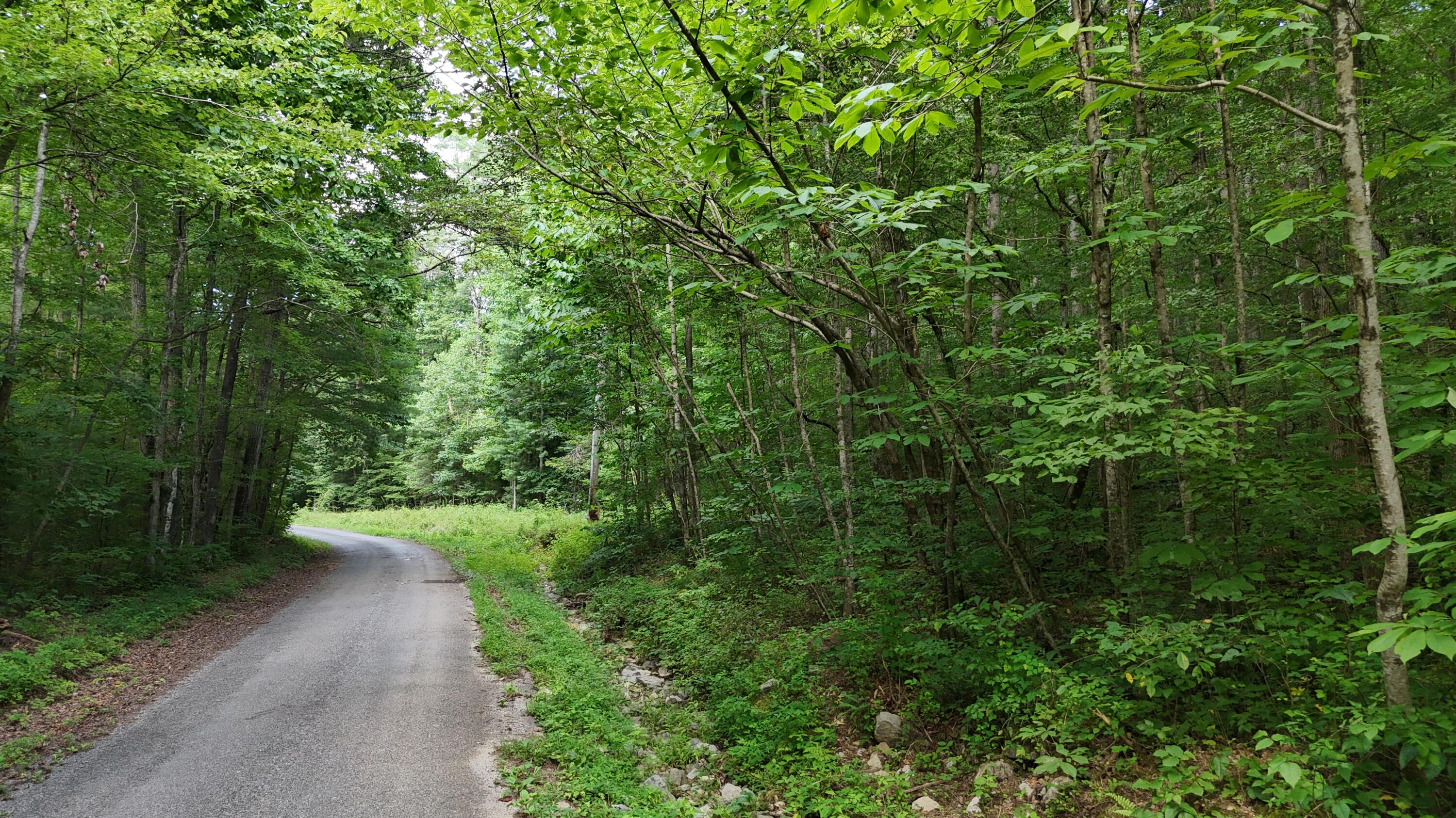 Lot 13-14 Clifton Cemetery Road Spring City, TN 37381 - Photo 2 of 20 dji_fly_20250702_170756_0658_17515461660