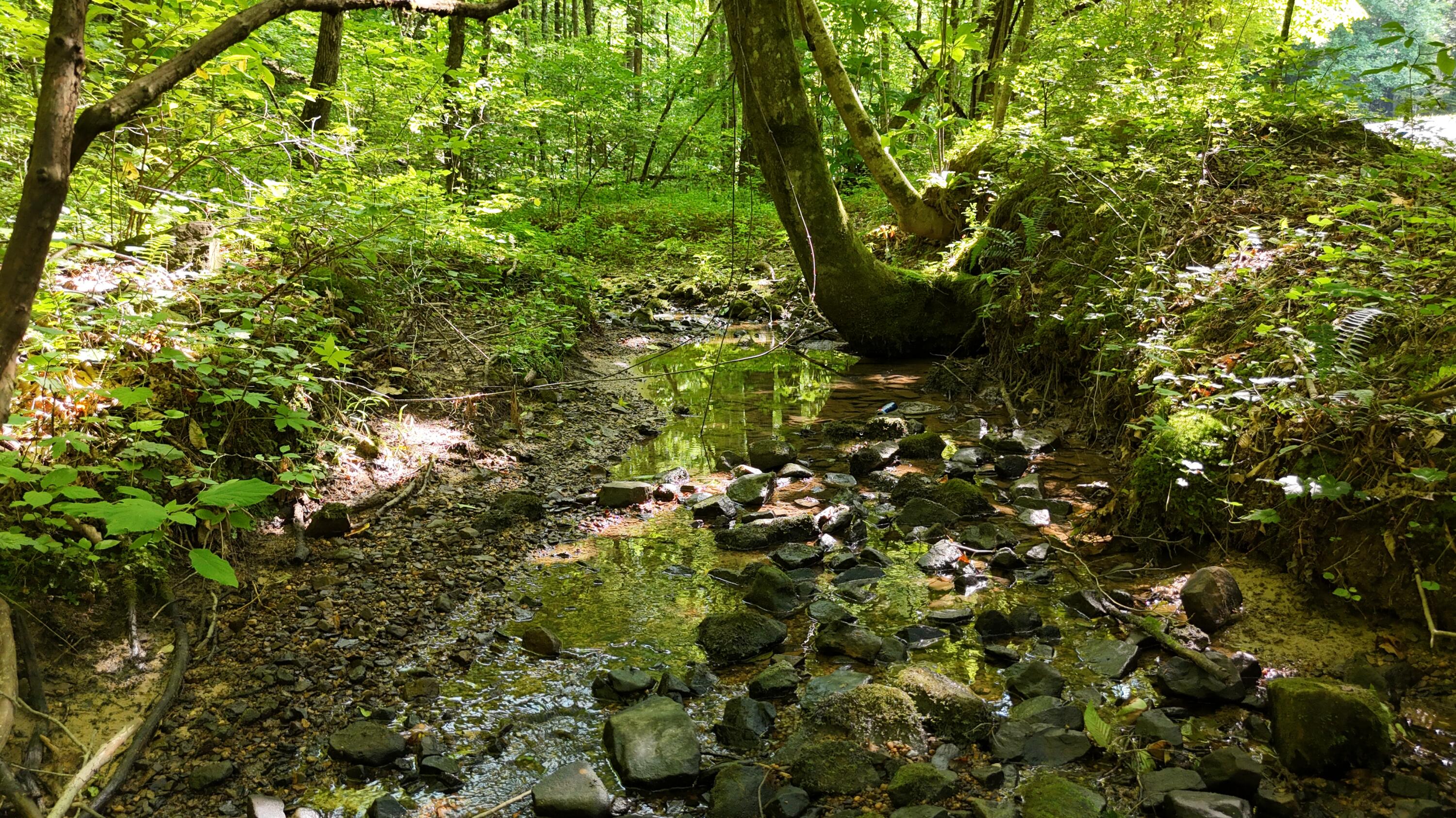 Lot 13-14 Clifton Cemetery Road Spring City, TN 37381 - Photo 5 of 20 dji_fly_20250702_171228_0667_17515461515