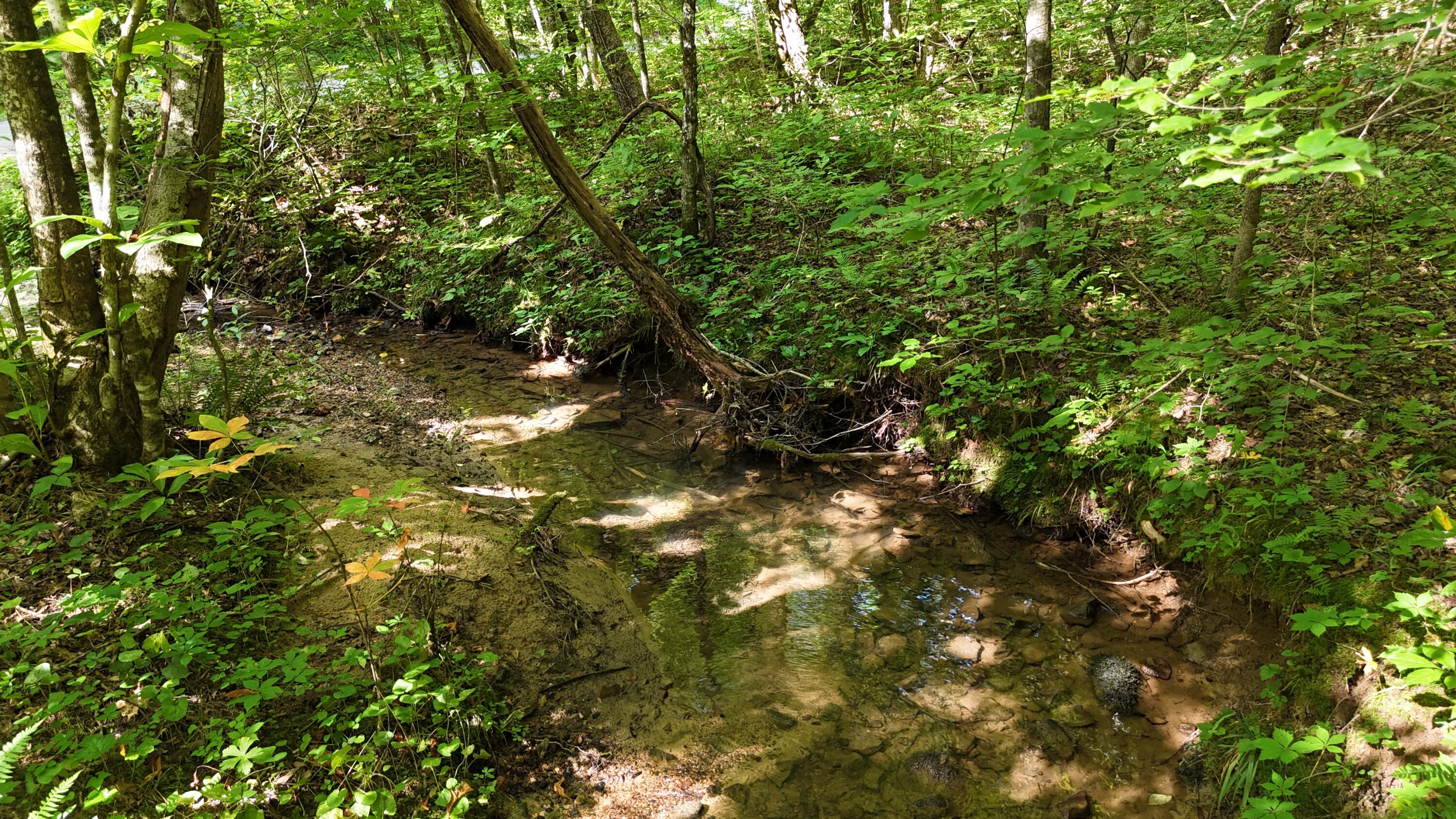 Lot 13-14 Clifton Cemetery Road Spring City, TN 37381 - Photo 8 of 20 dji_fly_20250702_171120_0665_17515461546