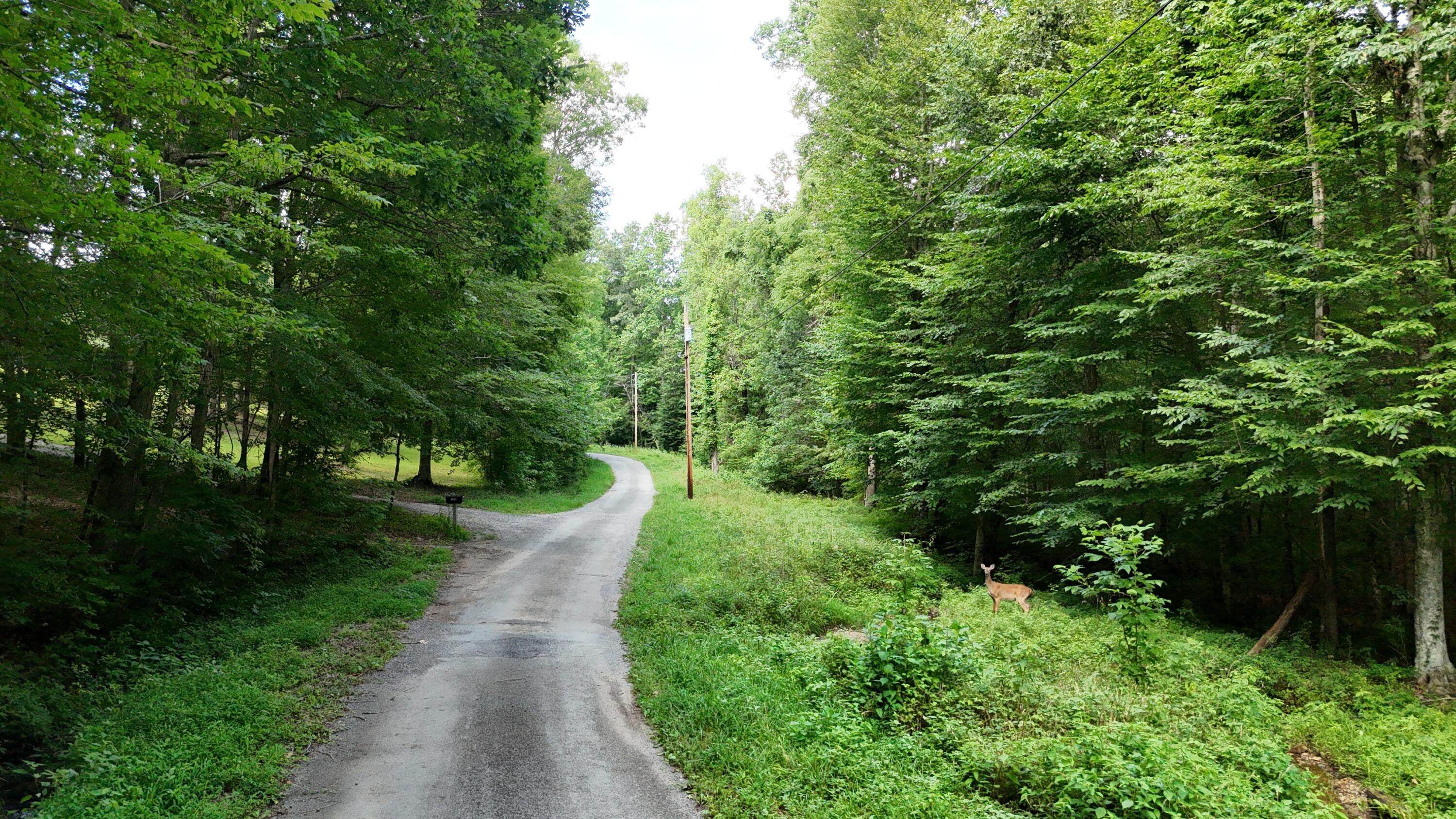 Lot 13-14 Clifton Cemetery Road Spring City, TN 37381 - Photo 9 of 20 dji_fly_20250702_170850_0660_17515461646