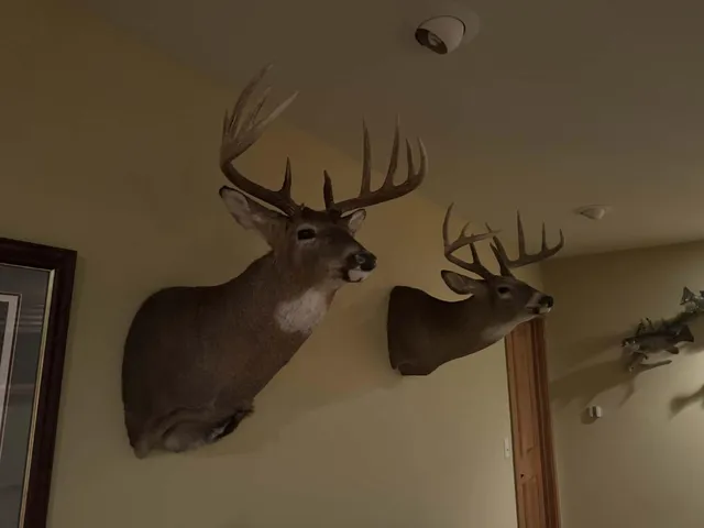 $1,200,000 | 0 Hollow Road, Alma, WI 54610