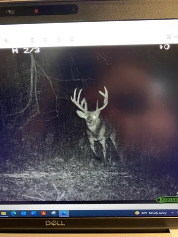 $1,200,000 | 0 Hollow Road, Alma, WI 54610