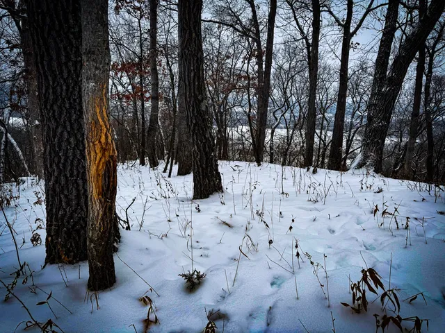 $1,200,000 | 0 Hollow Road, Alma, WI 54610