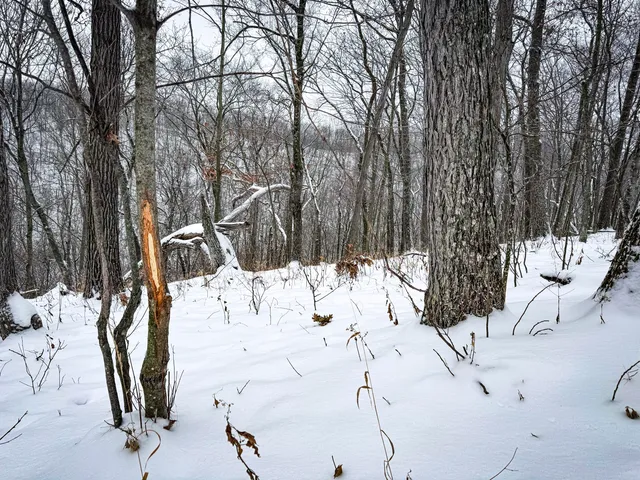 $1,200,000 | 0 Hollow Road, Alma, WI 54610