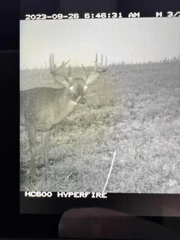 $1,200,000 | 0 Hollow Road, Alma, WI 54610