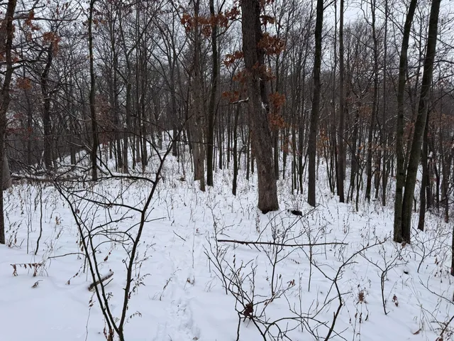 $1,200,000 | 0 Hollow Road, Alma, WI 54610