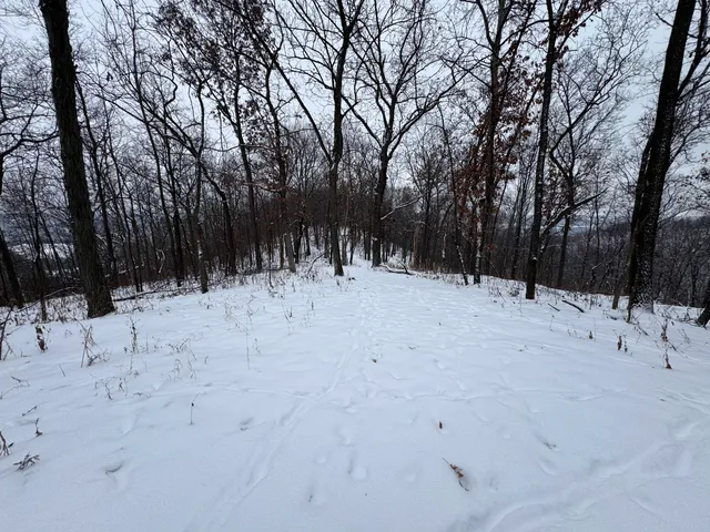 $1,200,000 | 0 Hollow Road, Alma, WI 54610