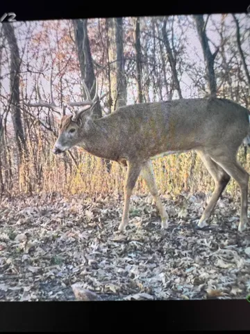 $1,200,000 | 0 Hollow Road, Alma, WI 54610