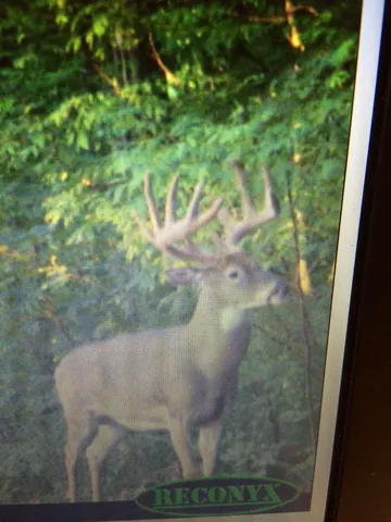 $1,200,000 | 0 Hollow Road, Alma, WI 54610