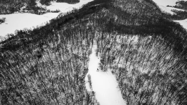 $1,200,000 | 0 Hollow Road, Alma, WI 54610