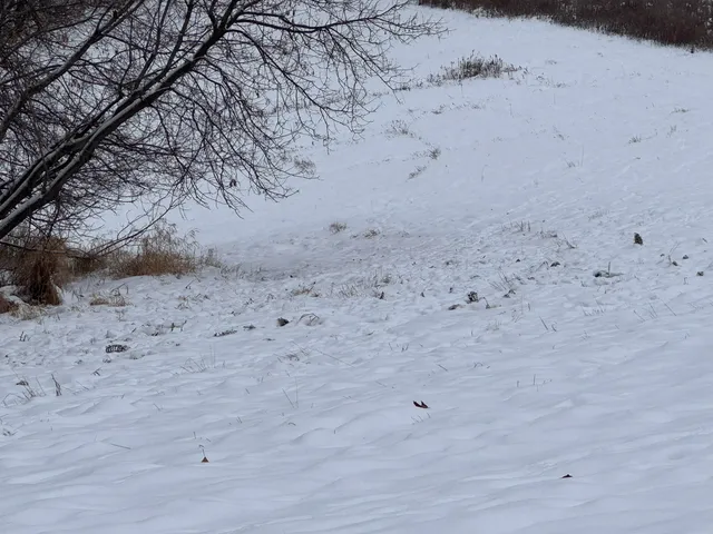 $1,200,000 | 0 Hollow Road, Alma, WI 54610