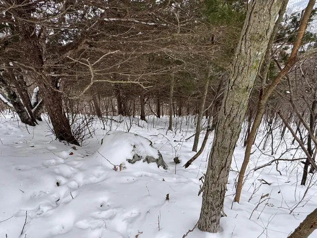 $1,200,000 | 0 Hollow Road, Alma, WI 54610