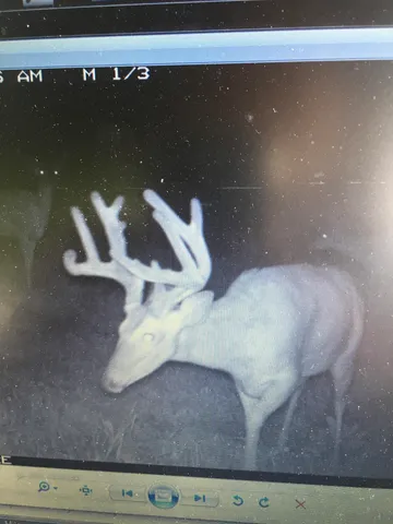 $1,200,000 | 0 Hollow Road, Alma, WI 54610