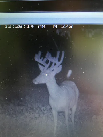 $1,200,000 | 0 Hollow Road, Alma, WI 54610