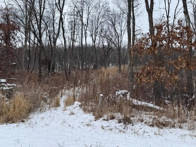 $1,200,000 | 0 Hollow Road, Alma, WI 54610