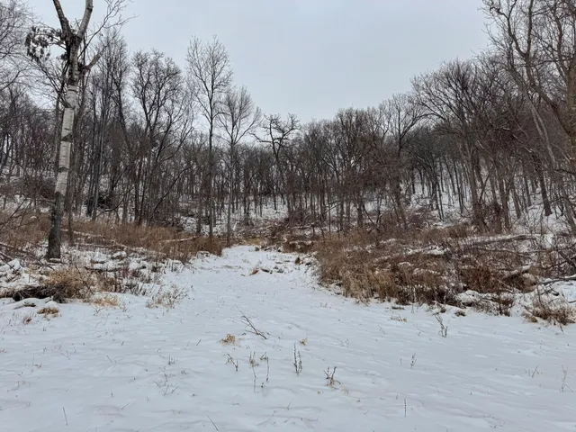 $1,200,000 | 0 Hollow Road, Alma, WI 54610